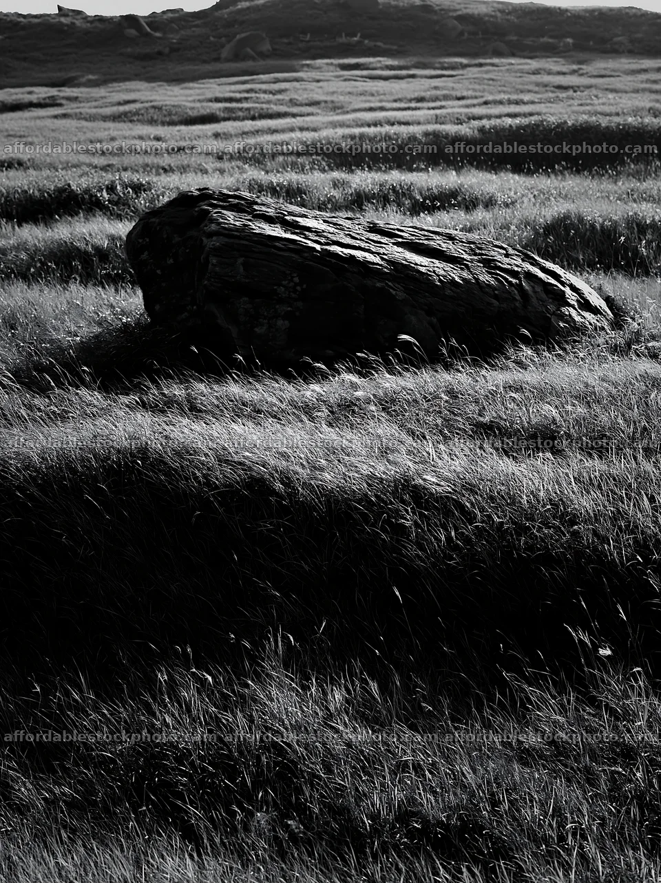 Aomori climate resilient meadow with boulder – stock photography preview