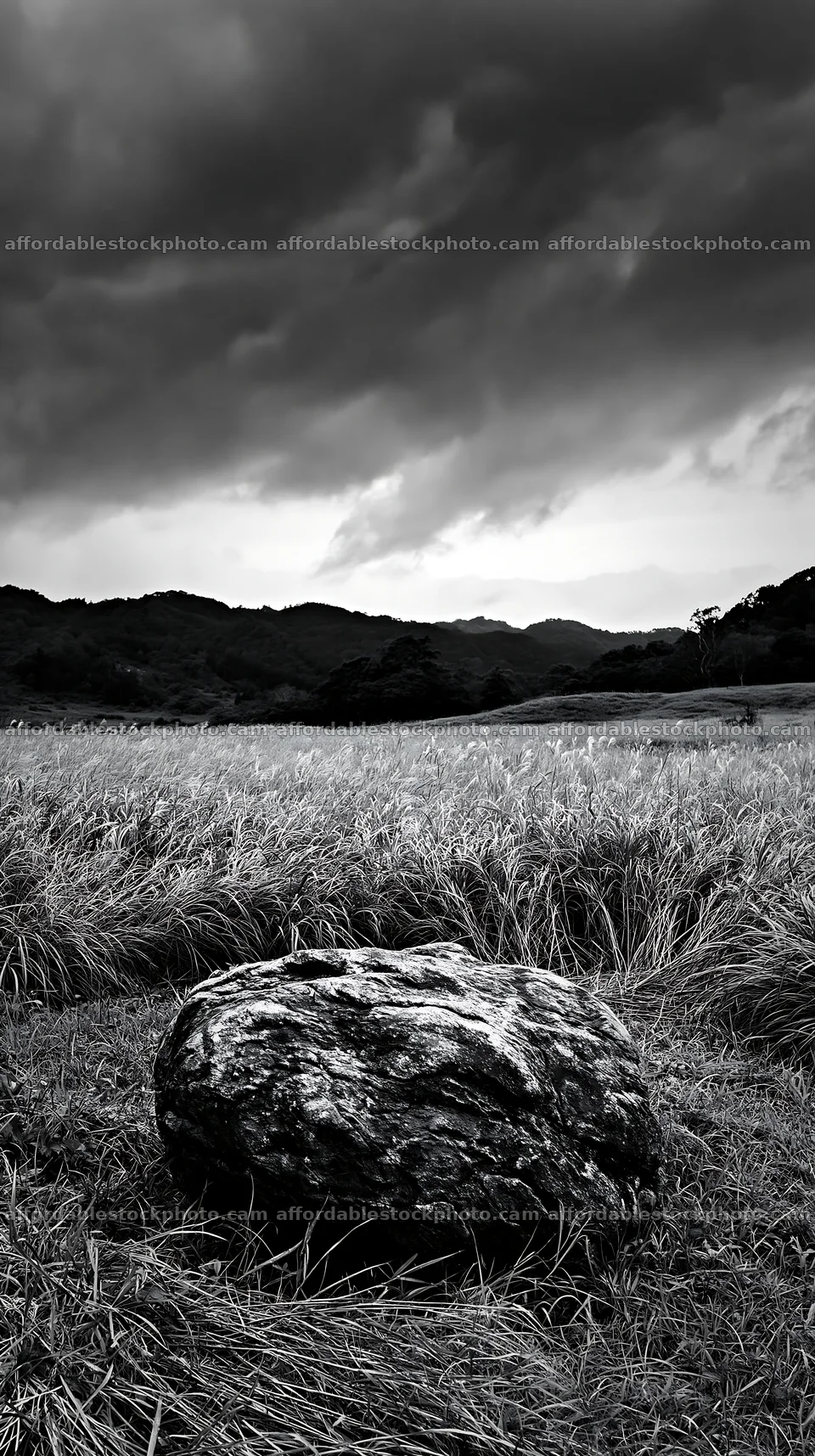 Aomori climate resilient meadow with boulder – stock photography preview