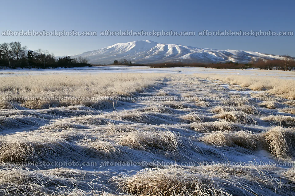 Akita snowmelt meadow with silver grasses under blue sky – stock photography preview