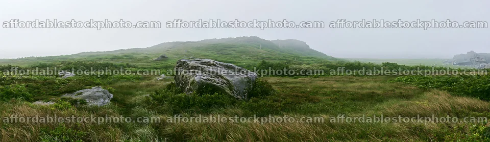 Aomori climate resilient meadow with boulder – stock photography preview