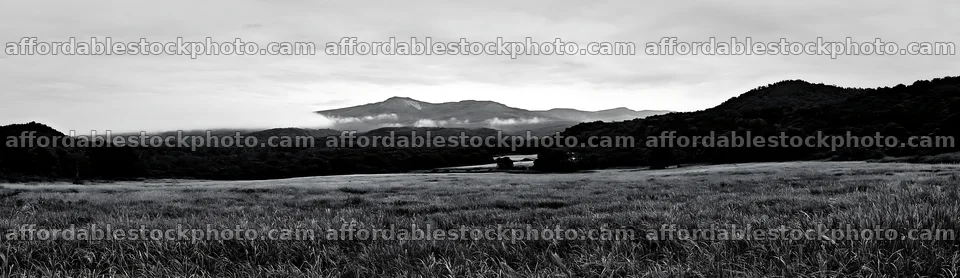 Iwate rain refreshed meadow seedhead foreground – stock photography preview
