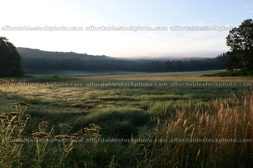 Expansive Hokkaido restoration meadow with dewdrops – stock photography preview