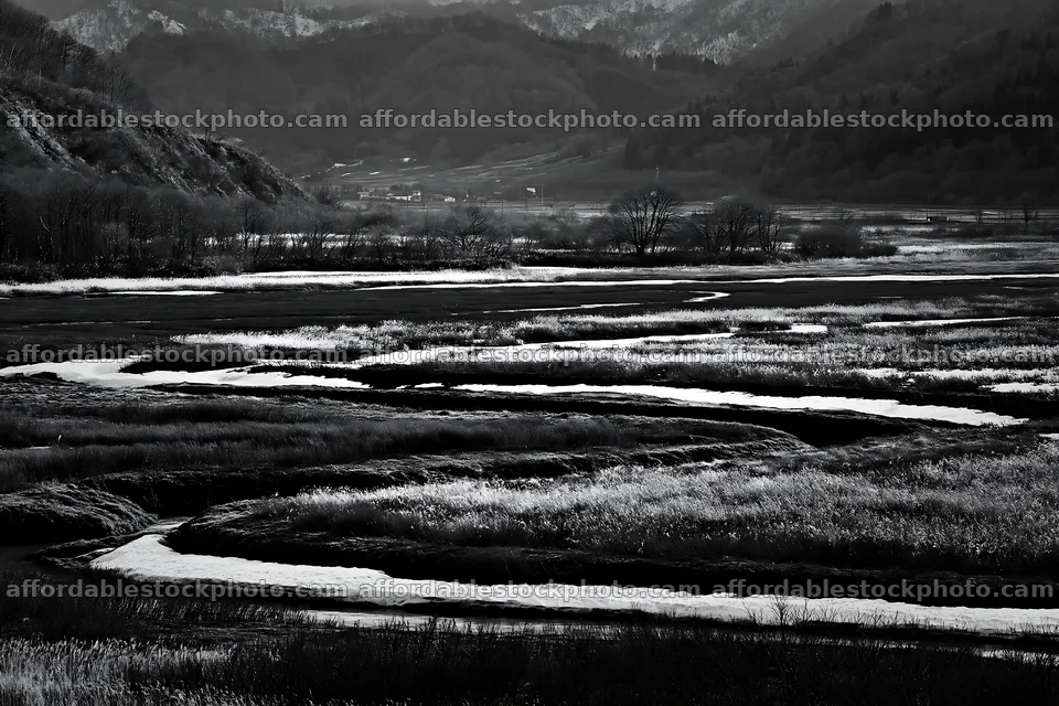 Akita snowmelt meadow with silver grasses in serene landscape – stock photography preview