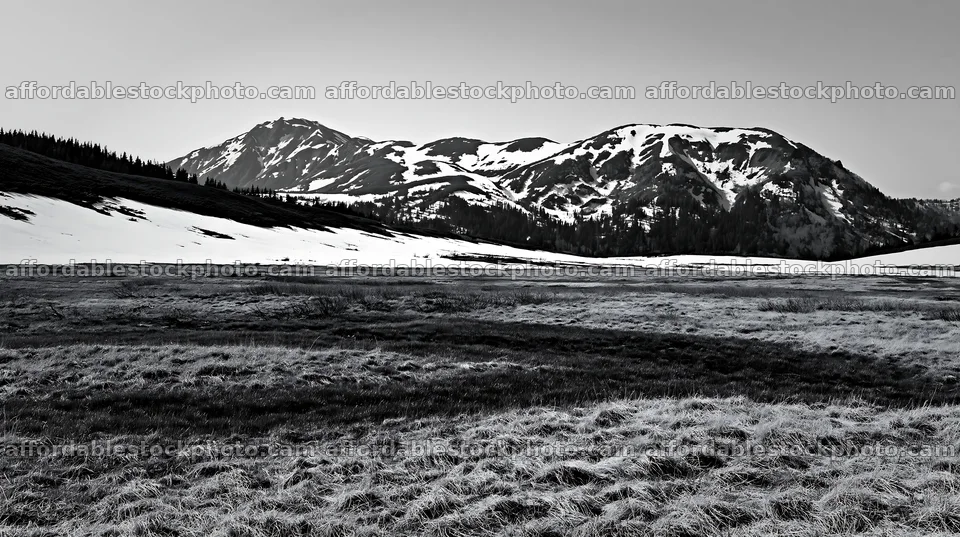 Akita snowmelt meadow with silver grasses under blue sky – stock photography preview