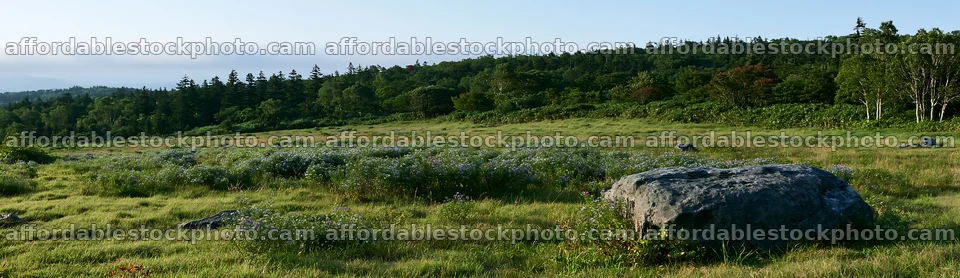 Aomori climate resilient meadow with boulder – stock photography preview