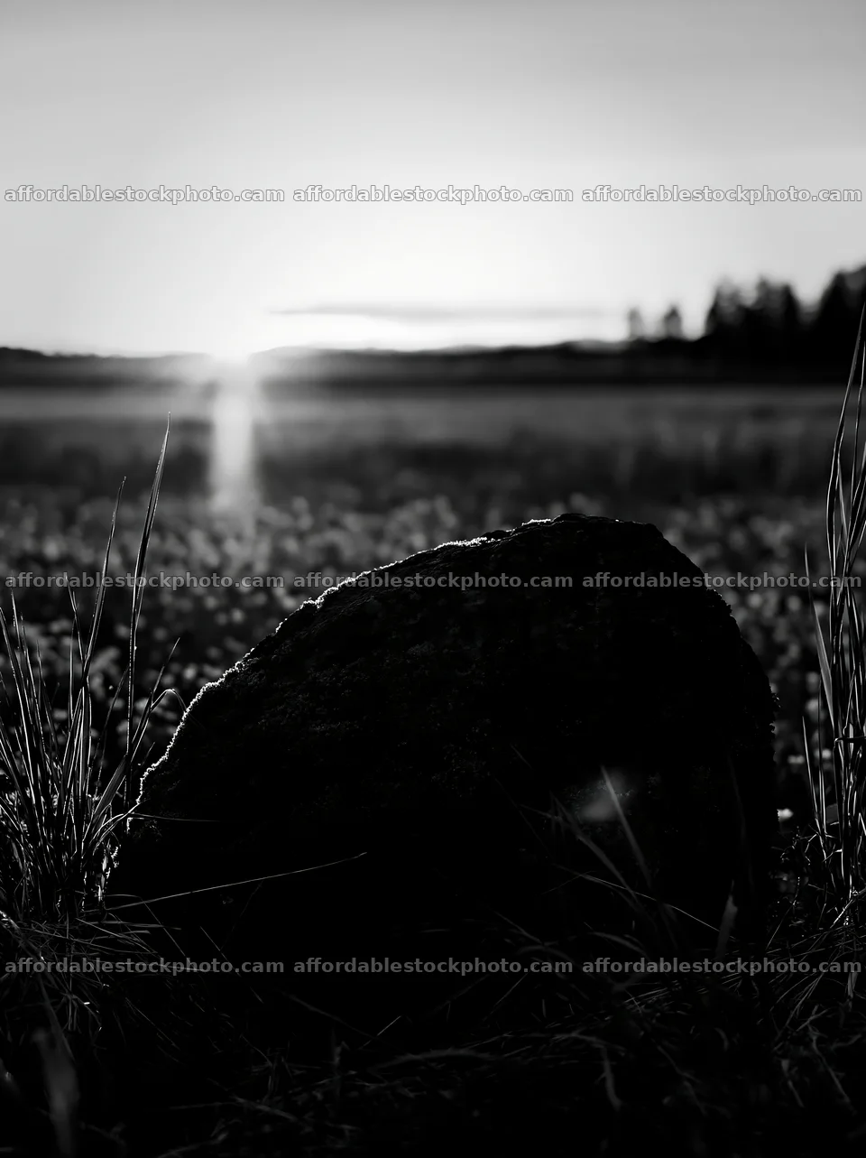 Miyagi spring recovery meadow mossy stone at sunset – stock photography preview