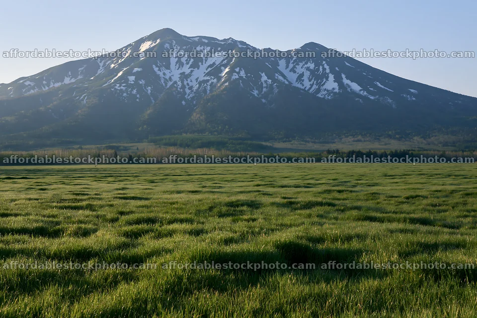 Expansive Hokkaido restoration meadow with dewdrops – stock photography preview
