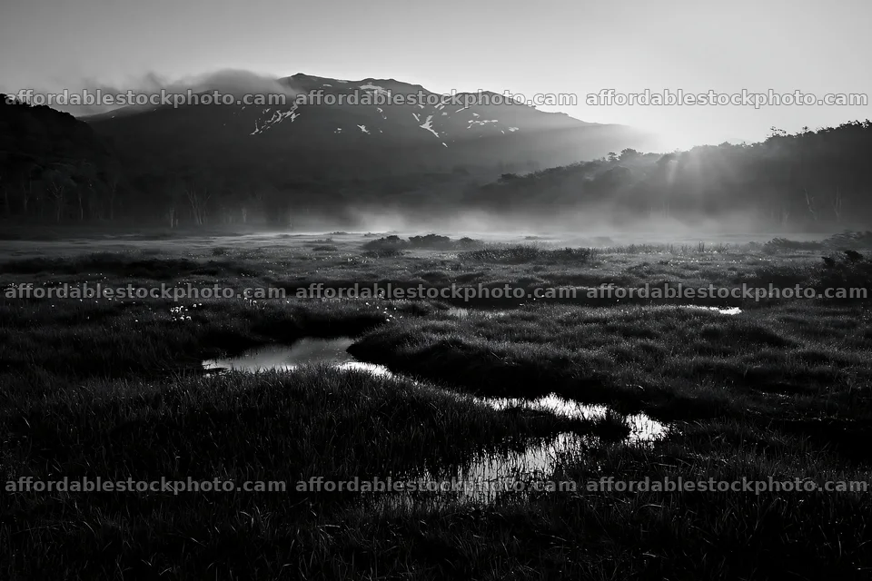 Expansive Hokkaido restoration meadow with dewdrops – stock photography preview